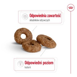 ROYAL CANIN Mini Ageing 12+ karma sucha dla psów dojrzałych ras małych, po 12 roku życia 1,5 kg