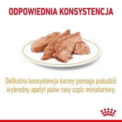 ROYAL CANIN Pomeranian Adult karma mokra, pasztet dla psów dorosłych rasy szpic miniaturowy 85g