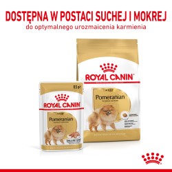 ROYAL CANIN Pomeranian Adult karma mokra, pasztet dla psów dorosłych rasy szpic miniaturowy 85g