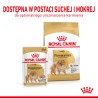 ROYAL CANIN Pomeranian Adult karma mokra, pasztet dla psów dorosłych rasy szpic miniaturowy 85g