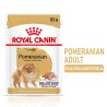 ROYAL CANIN Pomeranian Adult karma mokra, pasztet dla psów dorosłych rasy szpic miniaturowy 12x 85g