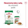 ROYAL CANIN Mini Ageing 12+ karma sucha dla psów dojrzałych ras małych, po 12 roku życia 1,5 kg