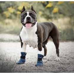 AMIPLAY Bristol Buty dla psa - Czerwone L