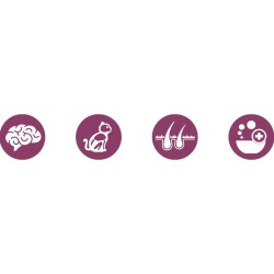 ACANA First Feast Kitten 1,8kg