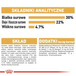 ROYAL CANIN Persian Adult karma sucha dla kotów dorosłych rasy perskiej 2kg