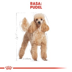 ROYAL CANIN BHN Poodle Adult 1,5kg PROMO Uszkodzenie ubytek