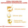 ROYAL CANIN BHN Poodle Adult 1,5kg PROMO Uszkodzenie ubytek