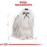 ROYAL CANIN Maltese Adult karma sucha dla psów dorosłych rasy maltańczyk 500g