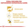 ROYAL CANIN Maltese Adult karma sucha dla psów dorosłych rasy maltańczyk 500g