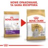 ROYAL CANIN Maltese Adult karma sucha dla psów dorosłych rasy maltańczyk 500g