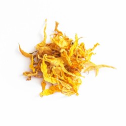 TIVO Kwiaty dla gryzoni - Płatki słonecznika 30g