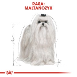 ROYAL CANIN Maltese Adult karma sucha dla psów dorosłych rasy maltańczyk 2x 1,5kg