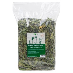 TIVO Zioła dla gryzoni - Babka lancetowata 150g