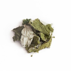 TIVO Zioła dla gryzoni - Liść maliny 150g