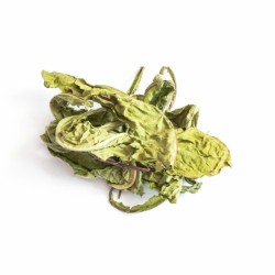 TIVO Zioła dla gryzoni - Liść mniszka lekarskiego 600g