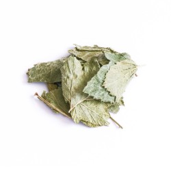 TIVO Zioła dla gryzoni - Liść Porzeczki 100g