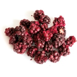 TIVO Owoce liofilizowane dla gryzoni - Jeżyna 20g