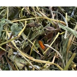 TIVO Mieszanka dla gryzoni - Specjał królika 1kg