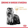 Royal Canin Yorkshire Terrier Adult 8+ karma sucha dla dojrzałych psów rasy yorkshire terrier, powyżej 8 roku życia 1,5 kg