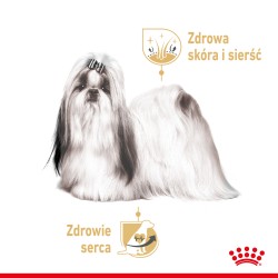 ROYAL CANIN Shih Tzu Adult Wet karma mokra – pasztet dla psów dorosłych rasy shih tzu 48x 85g