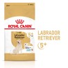 ROYAL CANIN Labrador Retriever Adult 5+ karma sucha dla dojrzałych psów rasy labrador retriever, powyżej 5 roku życia 3 kg