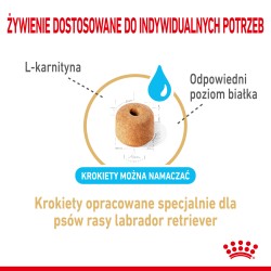 ROYAL CANIN Labrador Retriever Adult 5+ karma sucha dla dojrzałych psów rasy labrador retriever, powyżej 5 roku życia 3 kg