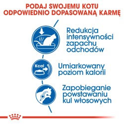 ROYAL CANIN Indoor 27 karma sucha dla kotów dorosłych, przebywających wyłącznie w domu 10 kg