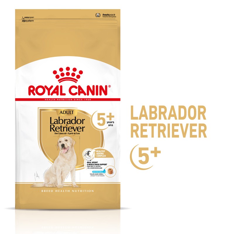 ROYAL CANIN Labrador Retriever Adult 5+ karma sucha dla dojrzałych psów rasy labrador retriever, powyżej 5 roku życia 12kg