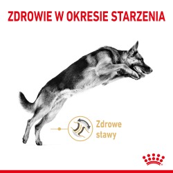 ROYAL CANIN German Shepherd Adult 5+ karma sucha dla dorosłych psów rasy owczarek niemiecki, powyżej 5 roku życia 3 kg