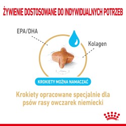 ROYAL CANIN German Shepherd Adult 5+ karma sucha dla dorosłych psów rasy owczarek niemiecki, powyżej 5 roku życia 12 kg