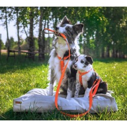 AMIPLAY Smycz regulowana 7 in 1 Samba - Żółta S