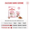 ROYAL CANIN Kitten karma sucha dla kociąt od 4. do 12. miesiąca życia 400g