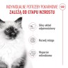 ROYAL CANIN Kitten karma sucha dla kociąt od 4. do 12. miesiąca życia 2kg