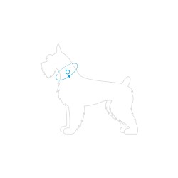 AMIPLAY Obroża regulowana Samba - Zielona XS