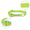 AMIPLAY Obroża półzaciskowa Samba - Zielona L
