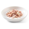 SCHESIR Cat Tuńczyk z aloesem w galaretce 85g (puszka)