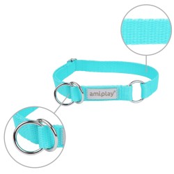 AMIPLAY Obroża półzaciskowa Samba - Turkusowa XL