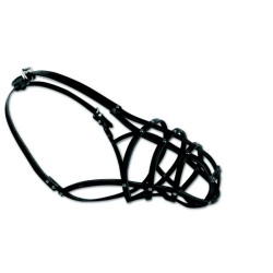 DINGO Skórzany kaganiec dla psa rasy: Jamnik – nitowany