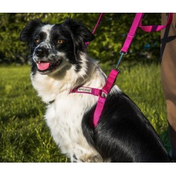 AMIPLAY Szelki regulowane EASY GO Samba - Zielone L