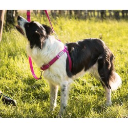 AMIPLAY Szelki regulowane EASY GO Samba - Turkusowe XL