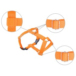 AMIPLAY Szelki Guard Samba - Pomarańczowe L