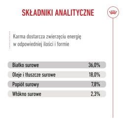 ROYAL CANIN Kitten karma sucha dla kociąt od 4. do 12. miesiąca życia 2x 10 kg