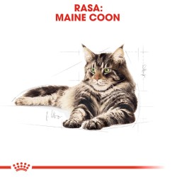ROYAL CANIN Maine Coon Adult karma sucha dla kotów dorosłych rasy maine coon 400g