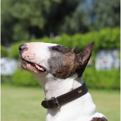 DINGO Obroża skórzana podszyta filcem - Brązowa  2,2/55cm