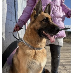 DINGO Obroża łańcuszkowa zaciągana - podwójna 3 x 65 cm