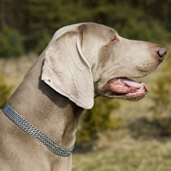 DINGO Obroża łańcuszkowa zaciągana - potrójna 3 x 65 cm