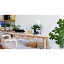 AQUAEL Shrimp Set Smart Day and Night - Zestaw do hodowli krewetek / Biały 10L