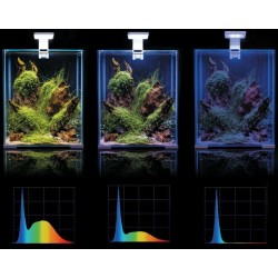 AQUAEL Shrimp Set Smart Day and Night - Zestaw do hodowli krewetek / Biały 10L