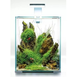 AQUAEL Shrimp Set Smart Day and Night - Zestaw do hodowli krewetek / Czarny 10L