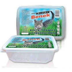 SUPER BENEK Kocia trawka szybkorosnąca 150g
